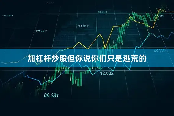 加杠杆炒股但你说你们只是逃荒的