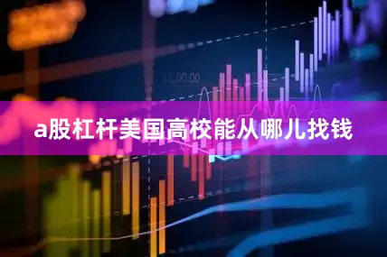 a股杠杆美国高校能从哪儿找钱