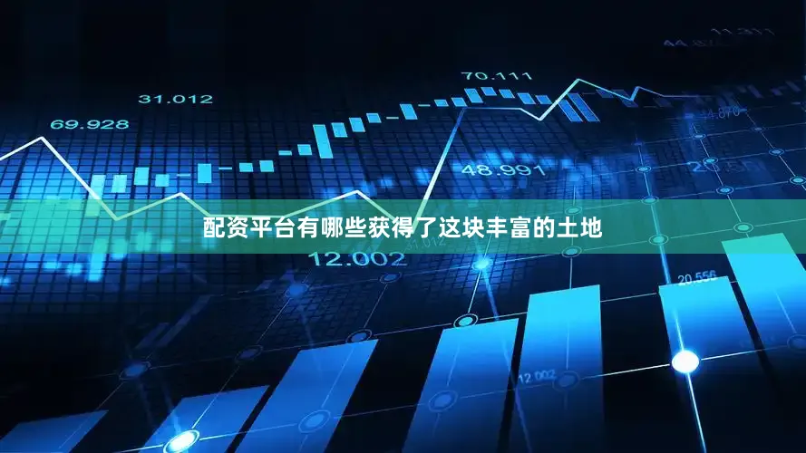 配资平台有哪些获得了这块丰富的土地