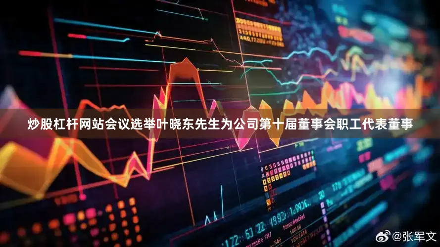 炒股杠杆网站会议选举叶晓东先生为公司第十届董事会职工代表董事