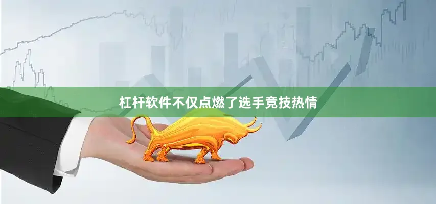 杠杆软件不仅点燃了选手竞技热情
